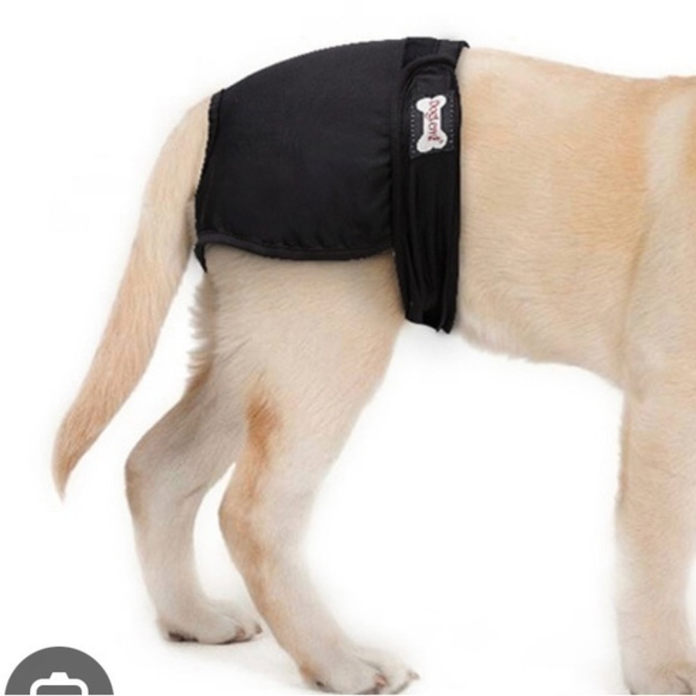 Washable Black Large Dog Diaper